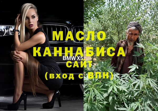 дурь Инта