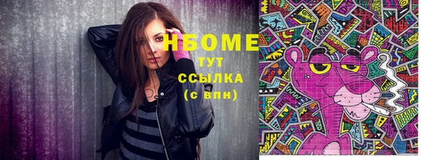 дурь Инта