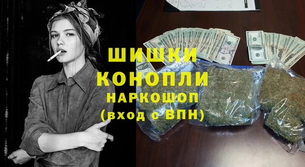 дурь Инта