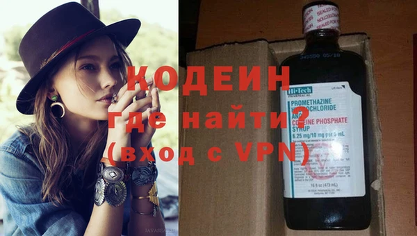 дурь Инта