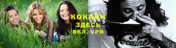 дурь Инта